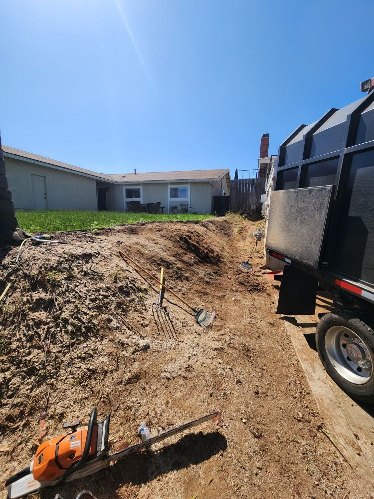 Tree Service Poway CA